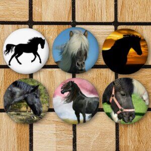 Black Horse Fridge Magnets Set Of 6 Metal Magnets For Home Office Kitchen School